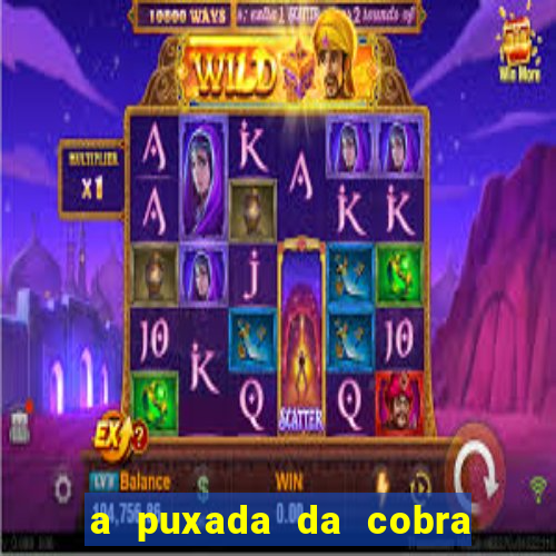 a puxada da cobra no jogo do bicho